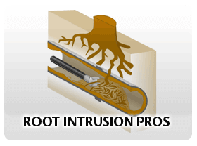 Rooter Experts